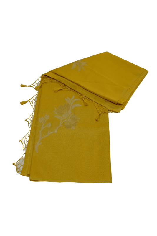 Soft Linen Tissue Saree