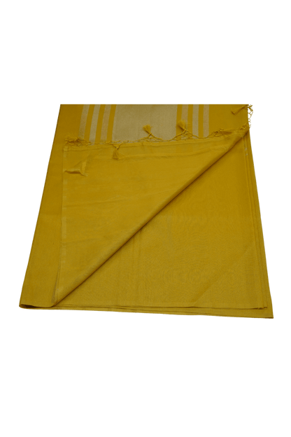 Soft Linen Tissue Saree