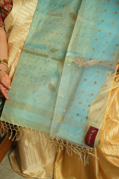 Muslin Silk Sare